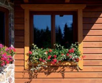 /album/fotogaleria-ziva-design-sturovo1/f4-jpg/